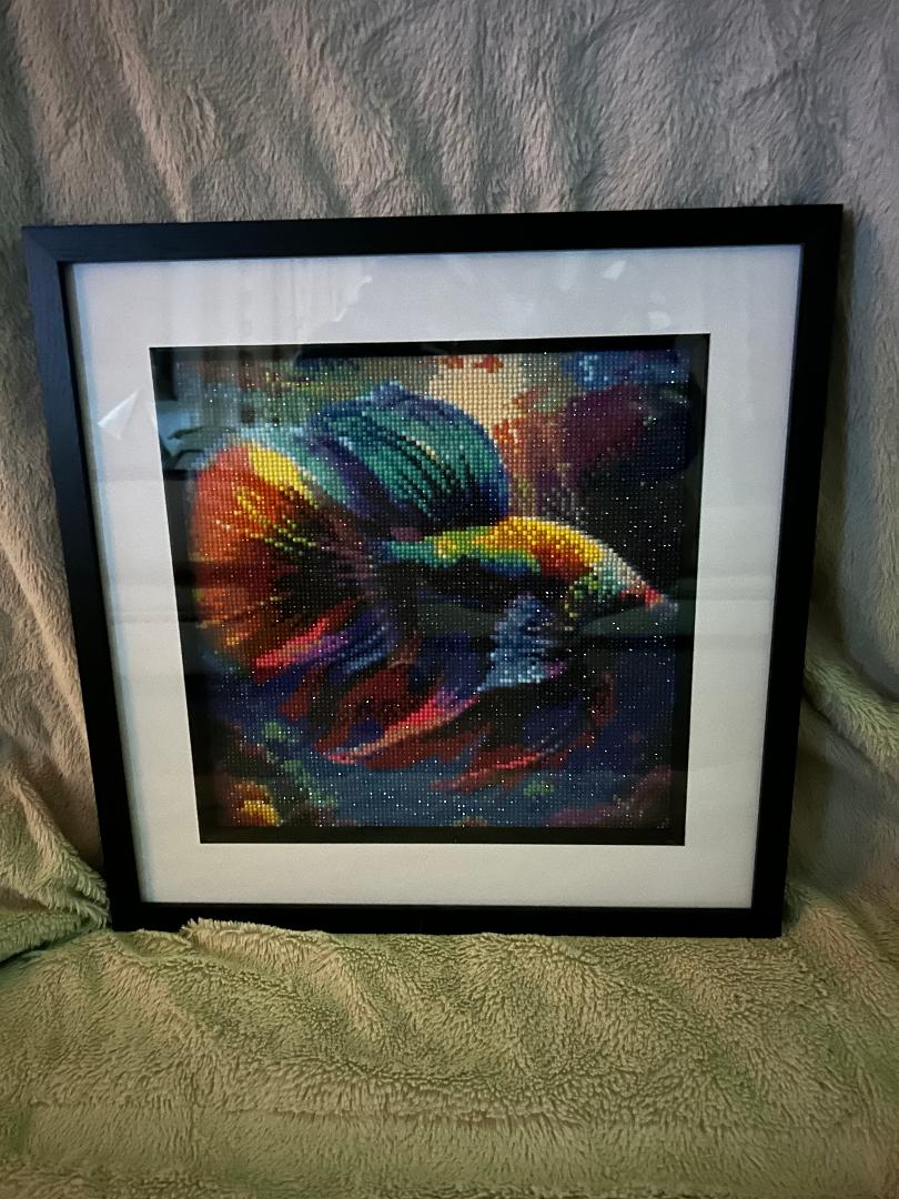 Fighting fish diamond art kit