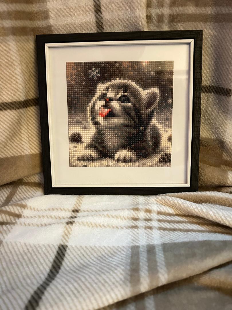 Kitten in the snow diamond art kit