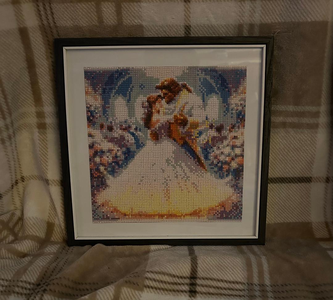 Pretty and the prince diamond art kit