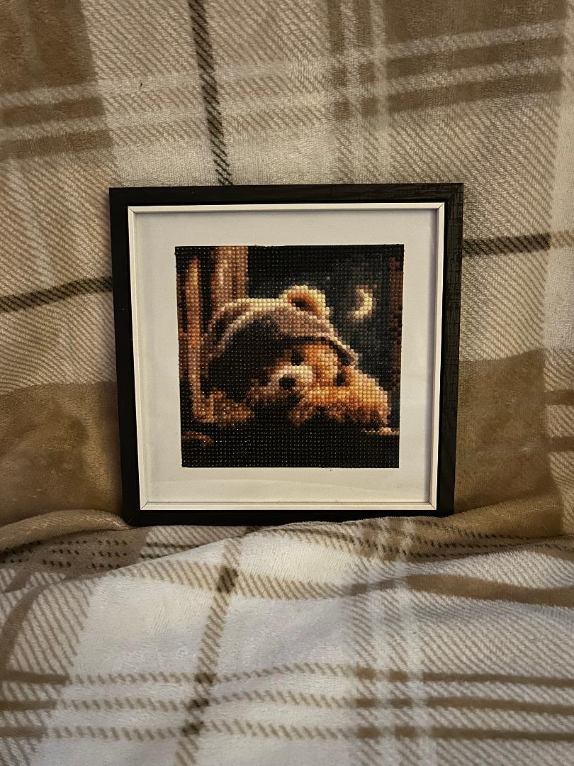 Teddy at night diamond art