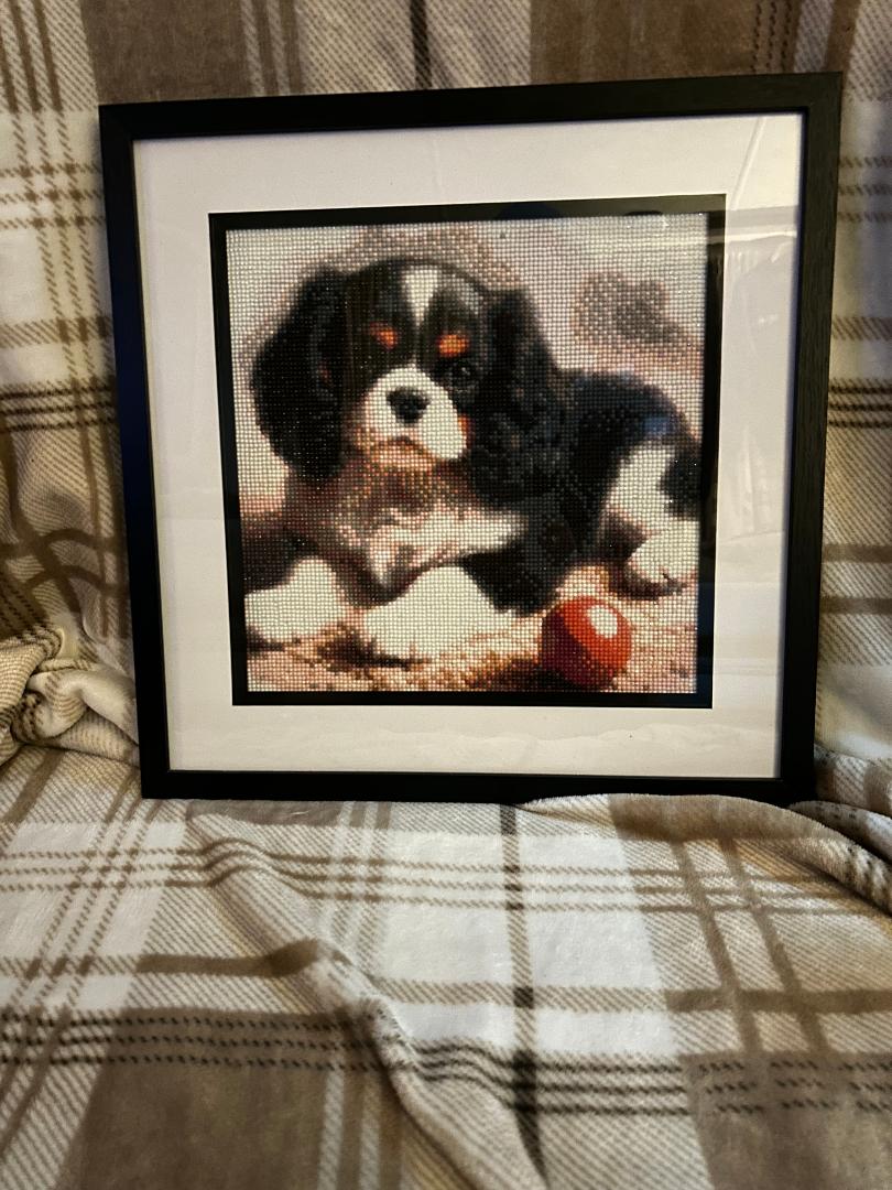Tri-colour spaniel diamond art kit